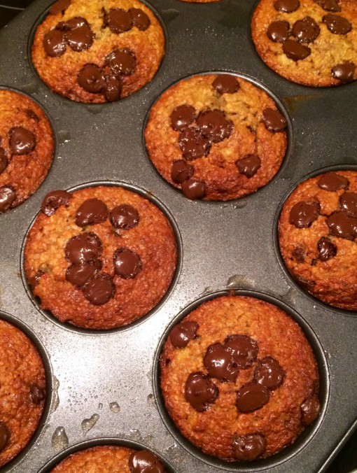 Healthy chocolate chip muffins