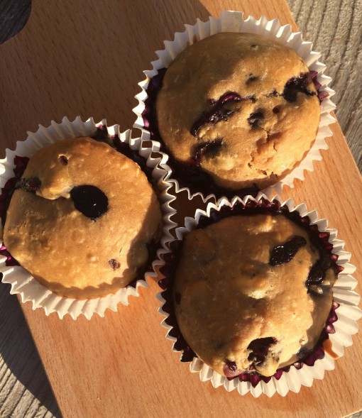 Koksmuffins met blauwe bessen 1